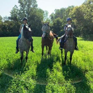 Meet your Posher, Casey